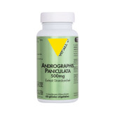 Andrographis Extrait standardisé 500 m g 60 gélules - Vitall+ - Gélules de plantes - 1-Andrographis Vitall+ Extrait 500 mg 60 gélules