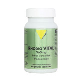 -Rhodio Vital (Rhodiola) Extrait Standardisé 360mg 60 gélules - Vitall+