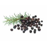 Genévrier - Juniperus communis - Baie Bio - Epices en vrac, aromates et condiments - 1-Genévrier - Juniperus communis - Baie Bio
