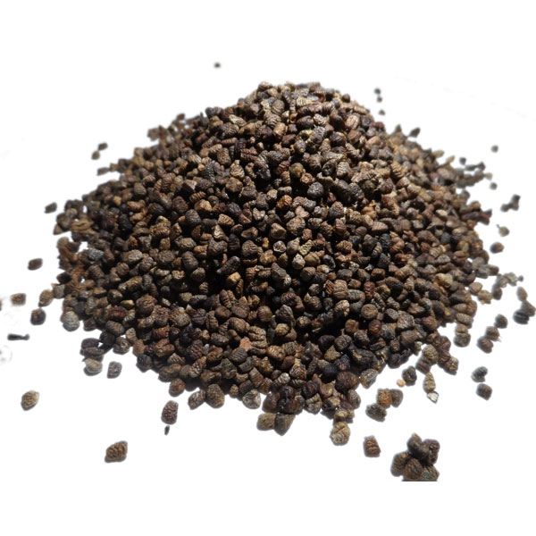 graine de cardamome auchan
