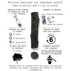 CARAFE PERSONNELLE avec filtre à charbon actif black+blum