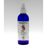 Bio-Geranienhydrolat (Blütenwasser) 200 ml - Eolesens - Blütenwasser - Hydrolate - 2