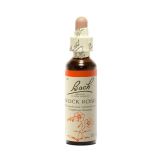 Rock Rose 20 ml  - N°26 - Fleurs de Bach Original - Les Fleurs de Bach Original - 1-Zistrose 20 ml - N°26 - Original Bachblüten