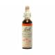Rock Rose 20 ml  - N°26 - Fleurs de Bach Original - Les Fleurs de Bach Original - 1
