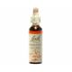 Mimulus 20 ml - N°20 - Fleurs de Bach Original