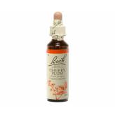 Cherry Plum 20 ml - N°6 - Fleurs de Bach Original - Fleurs de Bach et élixirs floraux - 2-Cherry Plum 20 ml - N°6 - Fleurs de Bach Original