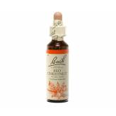 Red Chesnut 20 ml - N°25 - Fleurs de Bach Original - Fleurs de Bach et élixirs floraux - 2