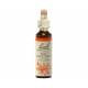 Red Chestnut 20 ml - N°25 - Fleurs de Bach Original