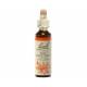 Red Chesnut 20 ml - N°25 - Fleurs de Bach Original