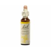 Cerato 20 ml - N°5 - Fleurs de Bach Original - Fleurs de Bach et élixirs floraux - 2