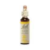 Gorse 20 ml - N°13 - Fleurs de Bach Original - Fleurs de Bach et élixirs floraux - 2-Ginster 20 ml - N°13 - Original Bachblüten