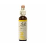 Gorse 20 ml - N°13 - Fleurs de Bach Original - Fleurs de Bach et élixirs floraux - 2