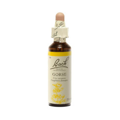 Gorse 20 ml - N°13 - Fleurs de Bach Original - Fleurs de Bach et élixirs floraux - 2