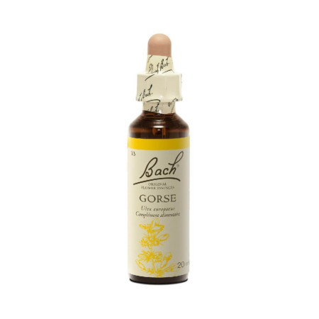 Gorse 20 ml - N°13 - Fleurs de Bach Original - Fleurs de Bach et élixirs floraux - 2