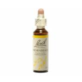 Hornbeam 20 ml - N°17 - Fleurs de Bach Original - Fleurs de Bach et élixirs floraux - 2-Hornbeam 20 ml - N°17 - Fleurs de Bach Original