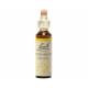 Hornbeam 20 ml - N°17 - Fleurs de Bach Original