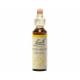 Hornbeam 20 ml - N°17 - Fleurs de Bach Original