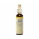 Wild Oat 20 ml- N° 36 - Fleurs de Bach Original