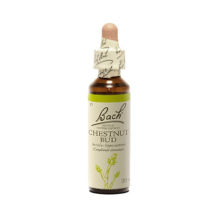 Chesnut Bud 20 ml - N° 7 - Fleurs de Bach Original - Fleurs de Bach et élixirs floraux - 2