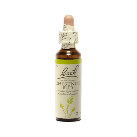 Chesnut Bud 20 ml - N° 7 - Fleurs de Bach Original - Fleurs de Bach et élixirs floraux - 2