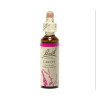 Larch 20 ml - N° 19 - Fleurs de Bach Original - Fleurs de Bach et élixirs floraux - 2