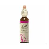 Larch 20 ml - N° 19 - Fleurs de Bach Original - Fleurs de Bach et élixirs floraux - 2-Larch 20 ml - N° 19 - Fleurs de Bach Original