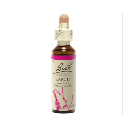 Larch 20 ml - N° 19 - Fleurs de Bach Original - Fleurs de Bach et élixirs floraux - 2