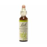 Honeysuckle 20 ml - N° 16 - Fleurs de Bach Original - Fleurs de Bach et élixirs floraux - 2-Honeysuckle 20 ml - N° 16 - Fleurs de Bach Original