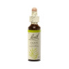 Olive 20 ml - N° 23 - Fleurs de Bach Original - Fleurs de Bach et élixirs floraux - 2-Olive 20 ml - N° 23 - Fleurs de Bach Original