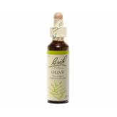 Olive 20 ml - N° 23 - Fleurs de Bach Original - Fleurs de Bach et élixirs floraux - 2