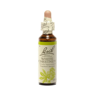 White Chesnut 20 ml - N° 35 - Fleurs de Bach Original - 2 - Herboristerie du Valmont White Chesnut 20 ml - N° 35 - Fleurs de Bach Original - 2 - Herboristerie du Valmont
