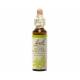White Chestnut 20 ml - N° 35 - Fleurs de Bach Original