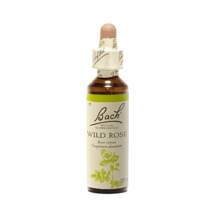 Wild Rose 20 ml - N° 37 - Fleurs de Bach Original - Fleurs de Bach et élixirs floraux - 2