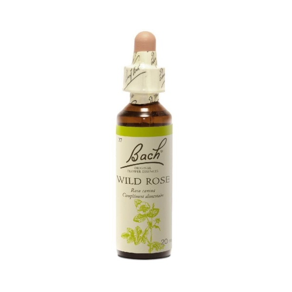 Wildrose 20 ml - Nr. 37 - Original Bachblüten - Bachblüten und Blütenelixiere - 2