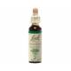 Centaury 20 ml - N°4 - Fleurs de Bach Original