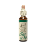 Walnut 20 ml - N° 33 - Fleurs de Bach Original - Fleurs de Bach et élixirs floraux - 1-Walnoot 20 ml - Nr. 33 - Originele Bachbloesems