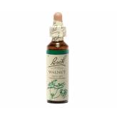 Walnut 20 ml - N° 33 - Fleurs de Bach Original - Fleurs de Bach et élixirs floraux - 1-Walnut 20 ml - N° 33 - Fleurs de Bach Original