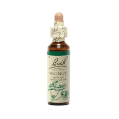Walnuss 20 ml - Nr. 33 - Bachblüten Original - Bachblüten und Blütenelixiere - 1