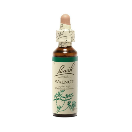 Walnut 20 ml - N° 33 - Fleurs de Bach Original - Fleurs de Bach et élixirs floraux - 1