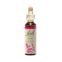 Elm 20 ml - Nr. 11 - Original Bachblüten - Bachblüten und Blütenelixiere - 2