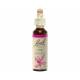 Oak 20 ml - N° 22 - Fleurs de Bach Original
