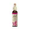 Kiefer 20 ml - N° 24 - Original Bachblüten - Bachblüten und Blütenelixiere - 2