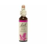 Pine 20 ml - N° 24 - Fleurs de Bach Original - Fleurs de Bach et élixirs floraux - 2-Pine 20 ml - N° 24 - Fleurs de Bach Original