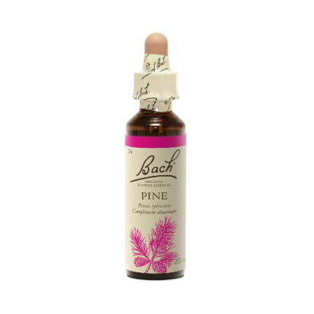 Pine 20 ml - N° 24 - Fleurs de Bach Original - Fleurs de Bach et élixirs floraux - 2