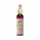 Star of Bethlehem 20ml - N° 29 - Fleurs de Bach Original