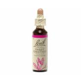 Sweet Chesnut 20 ml - N°30 - Fleurs de Bach Original - Fleurs de Bach et élixirs floraux - 2-Sweet Chestnut 20 ml - N°30 - Fleurs de Bach Original