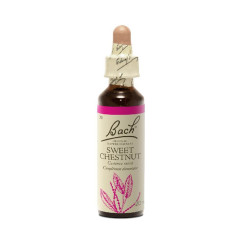 Sweet Chesnut 20 ml - N°30 - Fleurs de Bach Original - Fleurs de Bach et élixirs floraux - 2