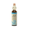 Beech 20 ml - N° 3 - Fleurs de Bach Original - Fleurs de Bach et élixirs floraux - 2