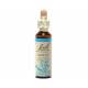 Beech 20 ml - N° 3 - Fleurs de Bach Original