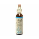 Vervain 20 ml - N° 31 - Fleurs de Bach Original - Fleurs de Bach et élixirs floraux - 2-Vervain 20 ml - N° 31 - Fleurs de Bach Original